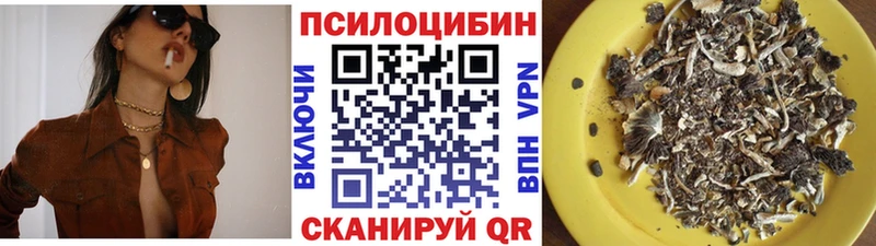 Купить где  Нефтекумск  Псилоцибиновые грибы Magic Shrooms 